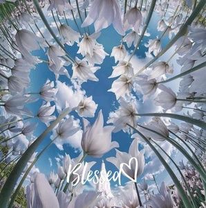 Meet your Posher, Lizeth